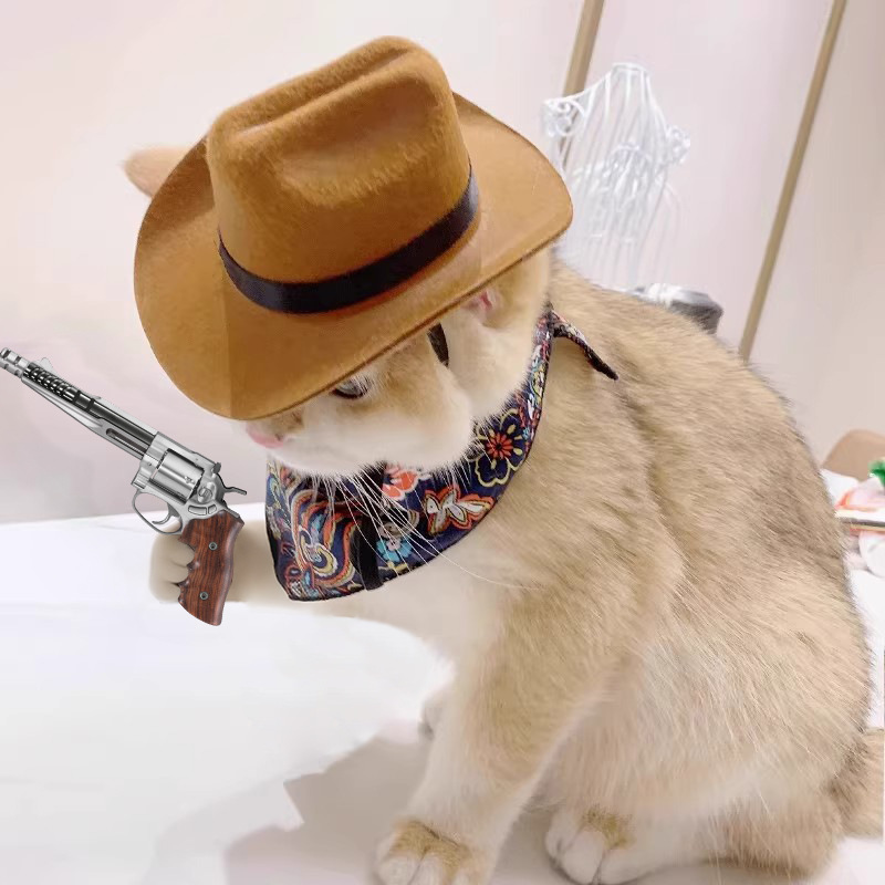    Cappello da cowboy per gat - Cowboy Hat Straw recensione e prezzo